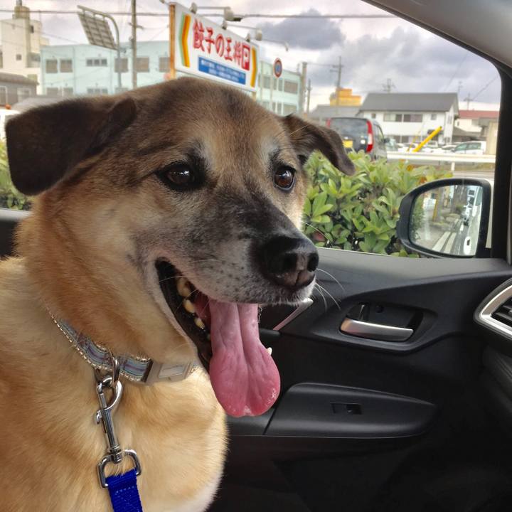 19b743c8 9fcb 4027 8243 6015652424c0 1552534716976