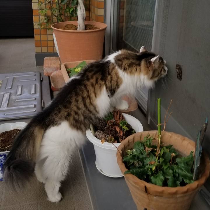 19b76423 9935 4fbe 8f88 a8f3ae226eab 1532559988621