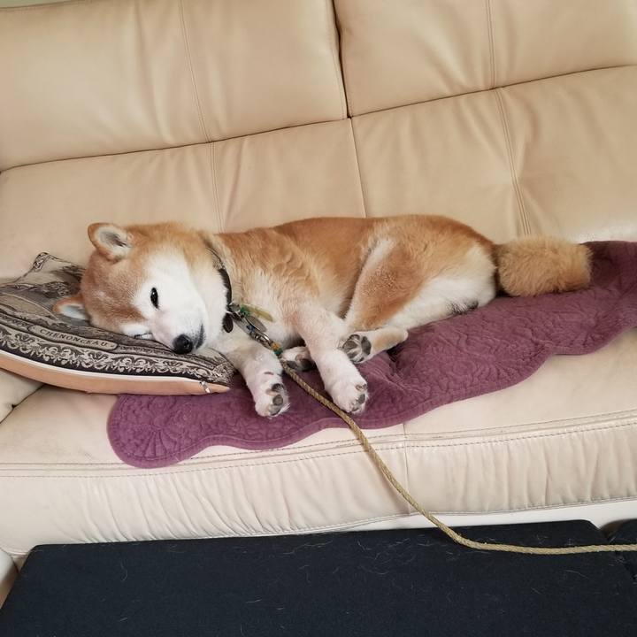 19b78d6f 5f2c 424f 806c 9129b8d11bfc 1696288151812