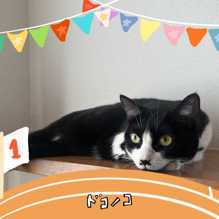 19b7a0e5 b95c 4caa a782 5e71bce1c9fc 1761444496713