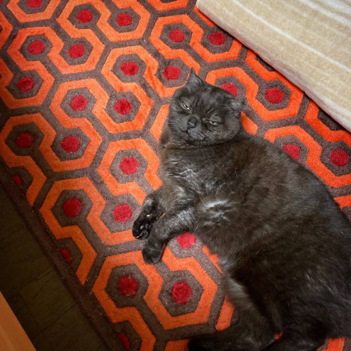 19b7abdf 68cc 4aff 9a74 4ce9a42872a4 1619330849382