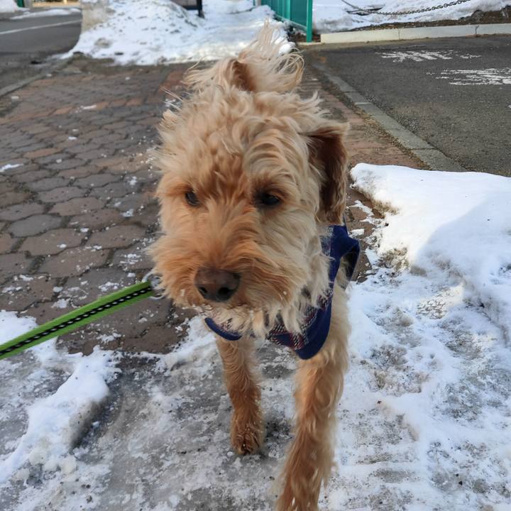 19b7ccbc b0c8 4365 bad3 a2ff3d3e502e 1584400284166