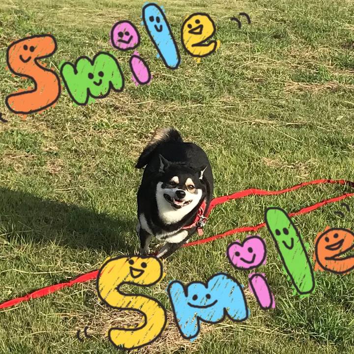 19b7d66e 9c3d 4379 931c 9565ae454405 1510901015552