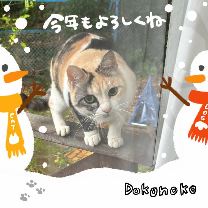 19b7e70e 10e9 4a8b 9469 59d0f4be2c90 1704513238763