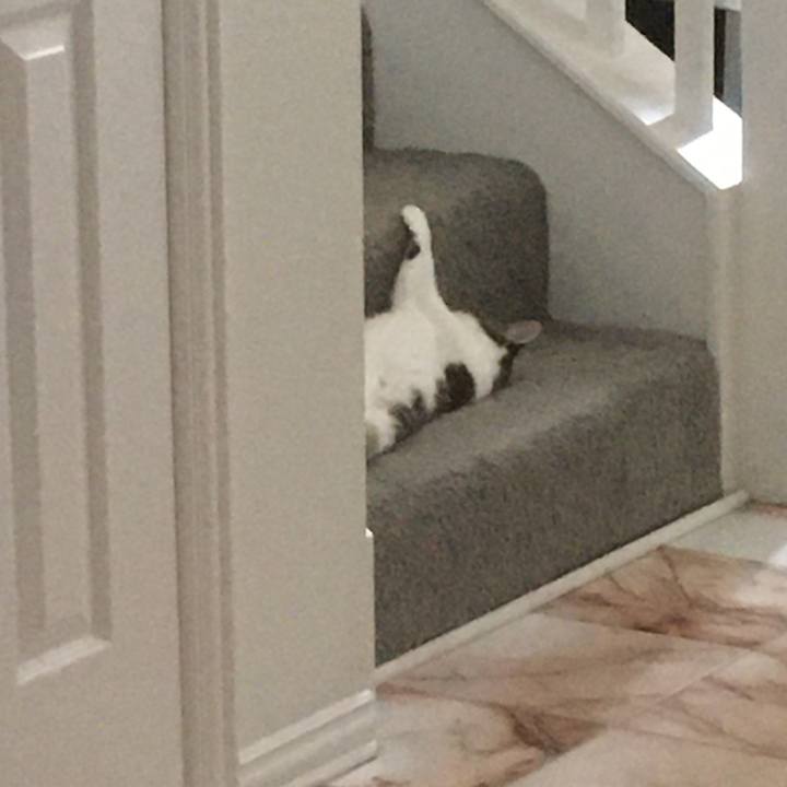 19b7f219 ce7a 4550 8eae 9068fbb1fb57 1660347787556