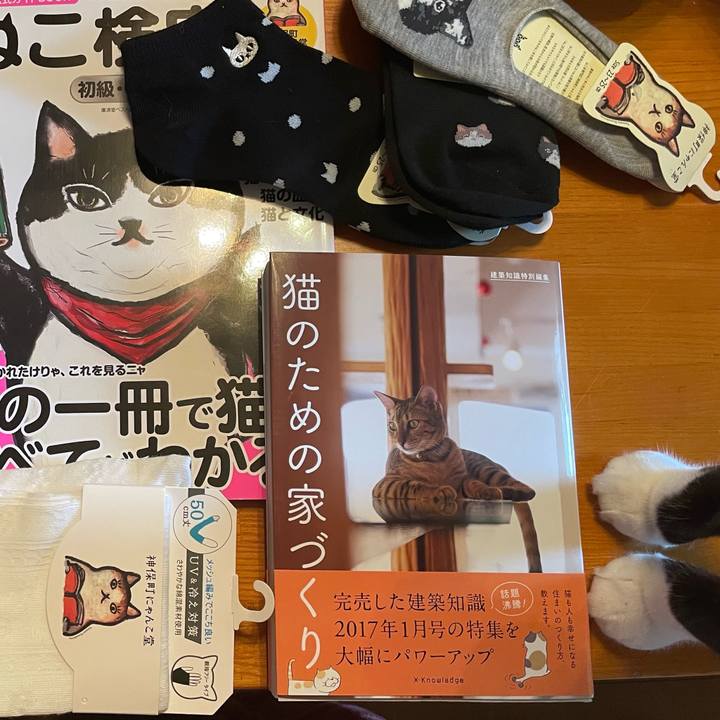 19b80d61 d667 4060 b79c 2d591c577a32 1650418873072