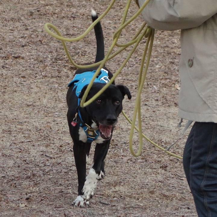 19b8413a ff70 4c23 954c f79b21af522d 1612059744758