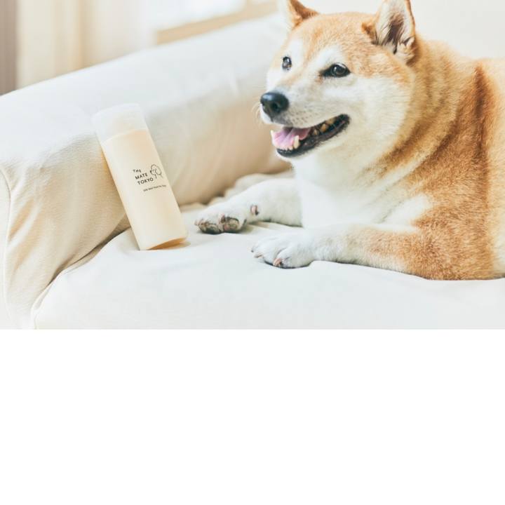 19b87b57 7989 4ff9 9934 d8364b5171f3 1688301044730