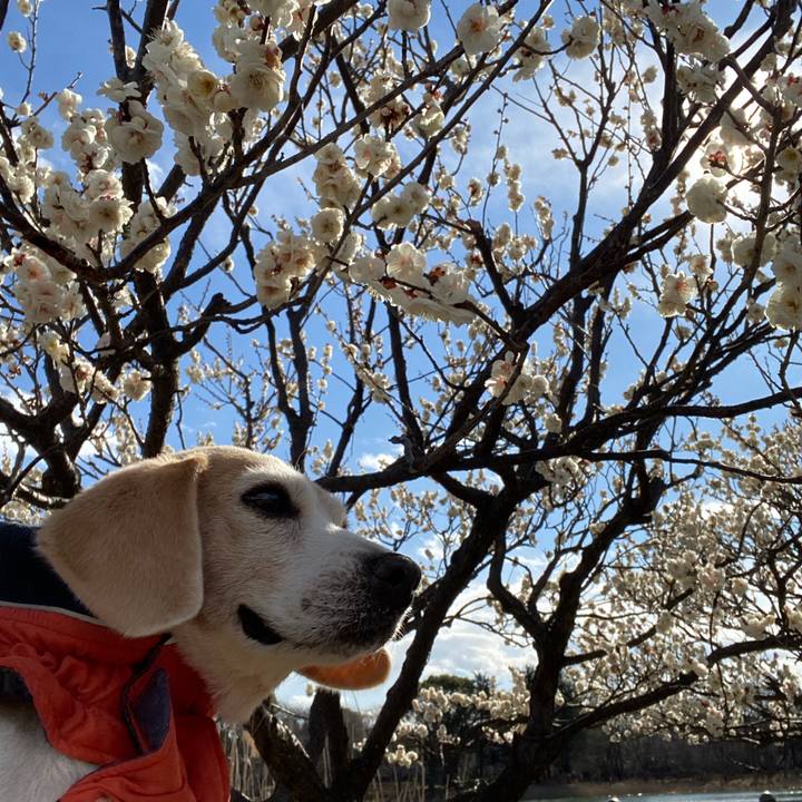 19b8a844 d489 4c46 ab57 e59ebbf13826 1614128571591