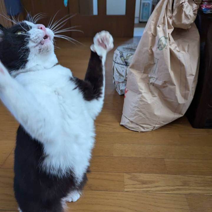 19b8d6f8 cf0d 4866 b2ef 74465d327dd9 1729474606827