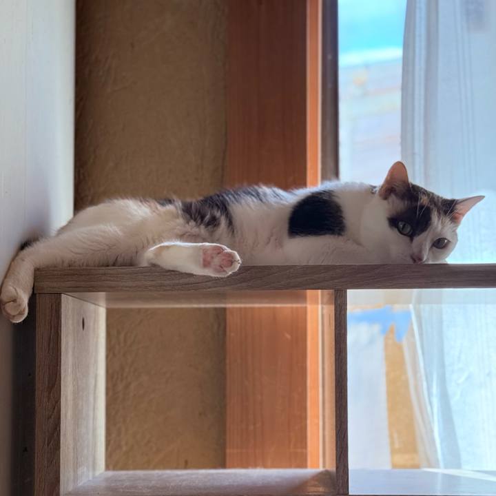 19b92a16 5bdf 4e9a b3eb 083cdf7c5dc7 1758251865448