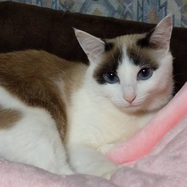 19b92aeb efc2 4d88 b754 ba5f6964032d 1611065799006