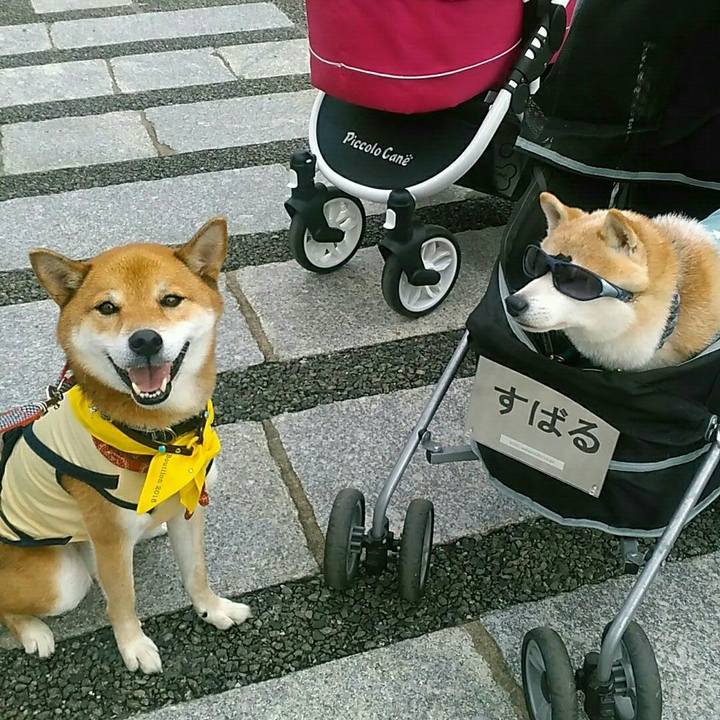 19b94bc6 938c 4194 9169 a9ac5d5e80f8 1571563252319