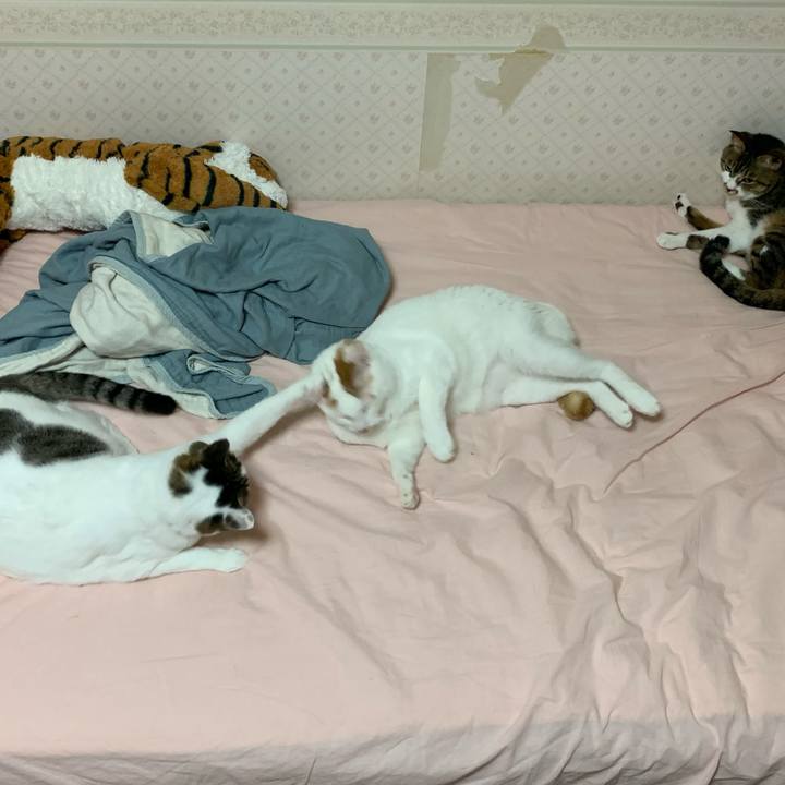 19b9648f 61fe 4688 940f 0d90d007733f 1592407122385