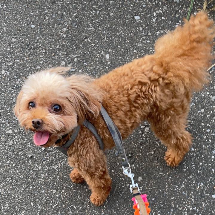 19b9ad61 764b 43dd b129 719d1b20abcf 1755072623681