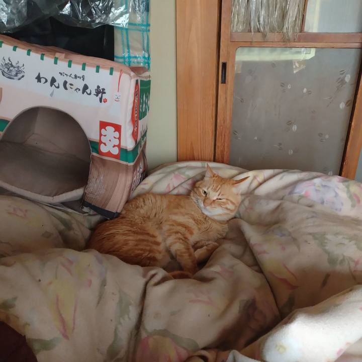 19b9c937 7bf7 4f7c b278 41a7800cc3cc 1684363145149