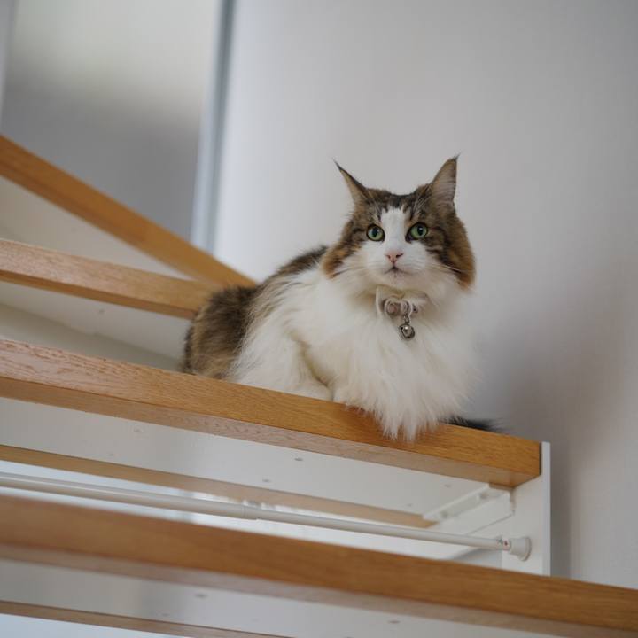 19b9d3c7 4f72 4e6f a854 1c9d139f5797 1698452272833