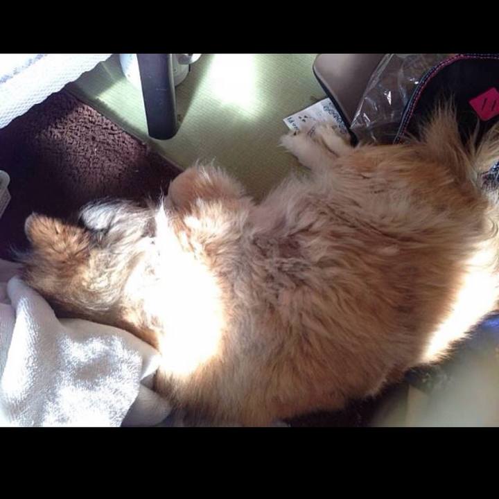 19ba2213 a199 4baf bed8 b5f1a509eee1 1592279007909