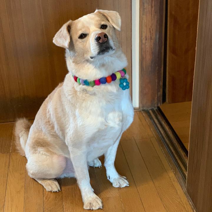 19ba2ce0 4f3b 45b8 9c20 292f56da41bb 1577949905933