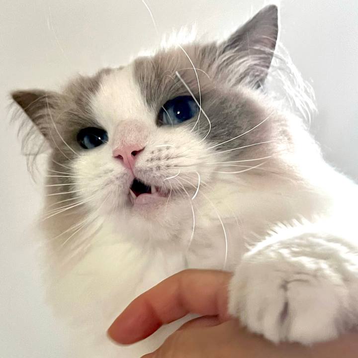 19ba5268 a183 4c84 b253 5e83ecc315d5 1689977761643