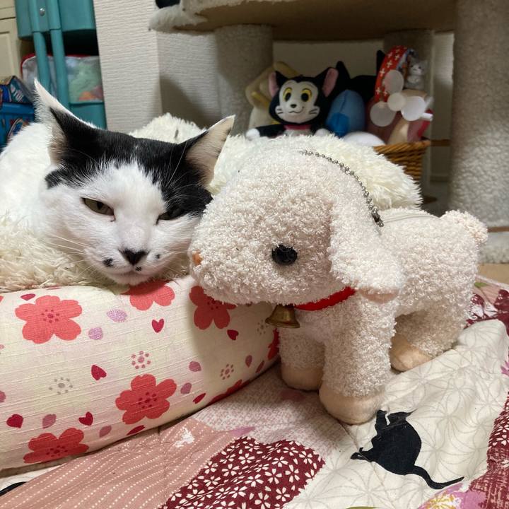 19ba7ae5 d945 4b1c a24b fb2bd61e9cc4 1772631174499