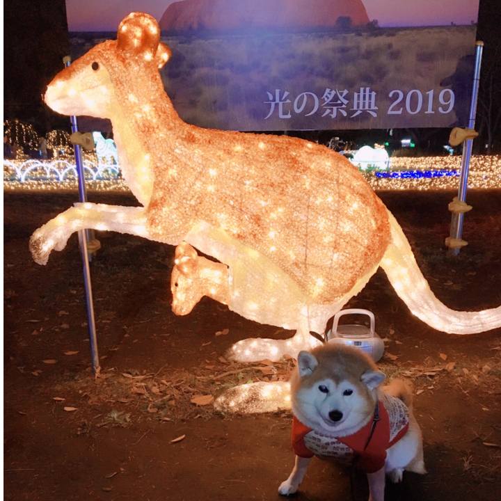 19ba8548 cd36 473e a2b9 2ad1e0121458 1577104939076