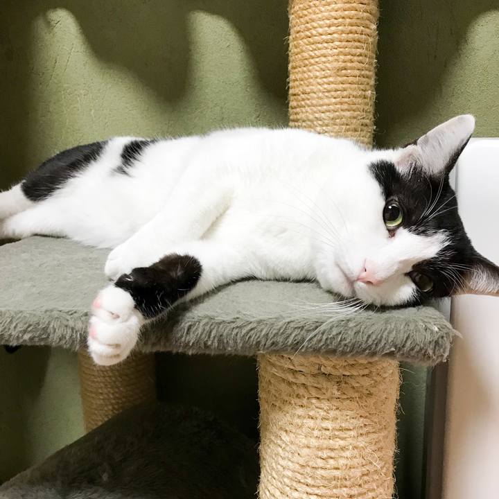 19ba86f4 fbe1 4f86 b5f3 6c18616859b3 1523374846329