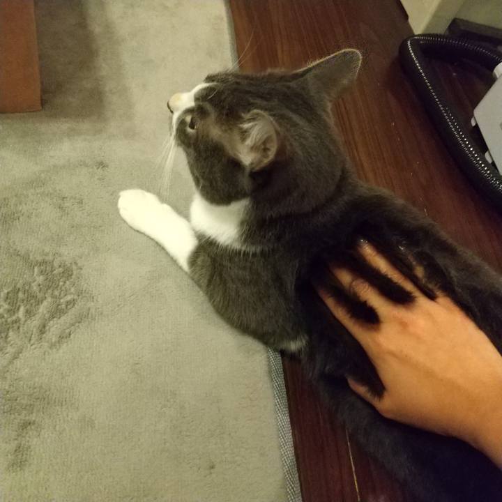 19ba9455 acb1 4018 98ed 5e9bd126d791 1608032991285