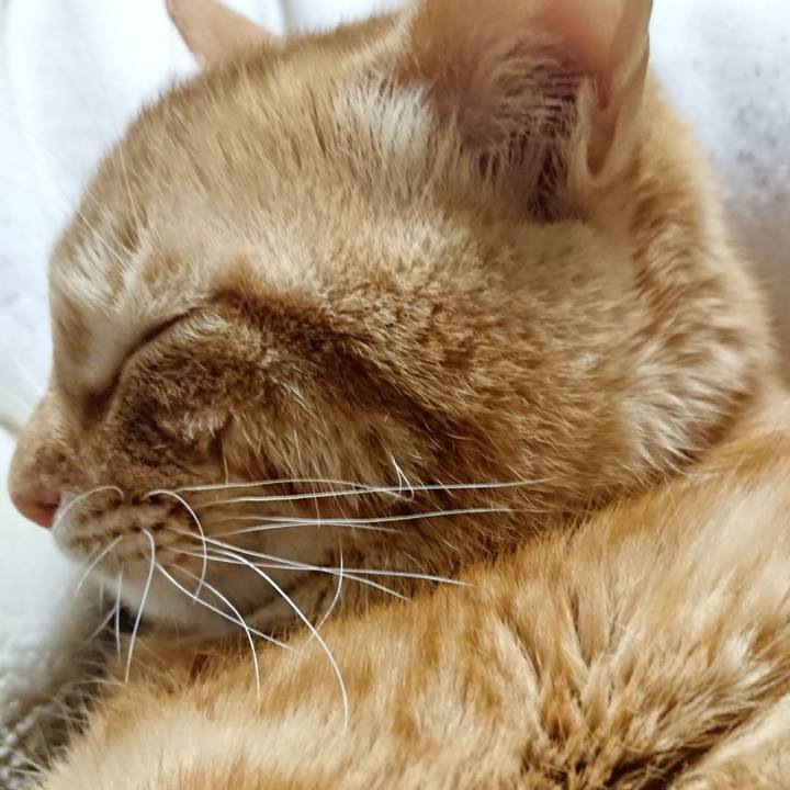 19ba9dd8 5517 4854 881c 13be6773ddd5 1641041954678