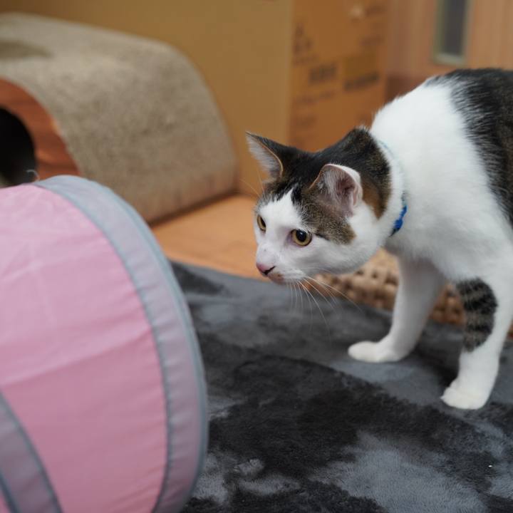 19ba9f3b b22f 4e5f 9a3c b458488198b7 1579050076482