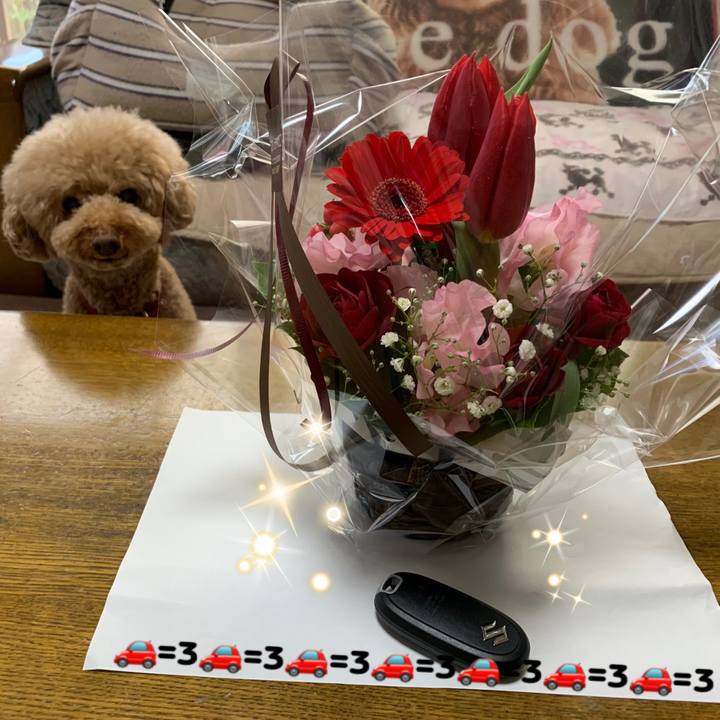 19bab587 c61e 43dc a63d b20c60e82d01 1553411000662