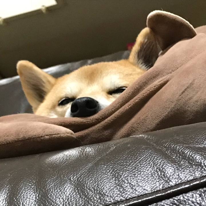 19babc3e 81d9 4aa7 8c72 5b72c3b7d40f 1514435758302