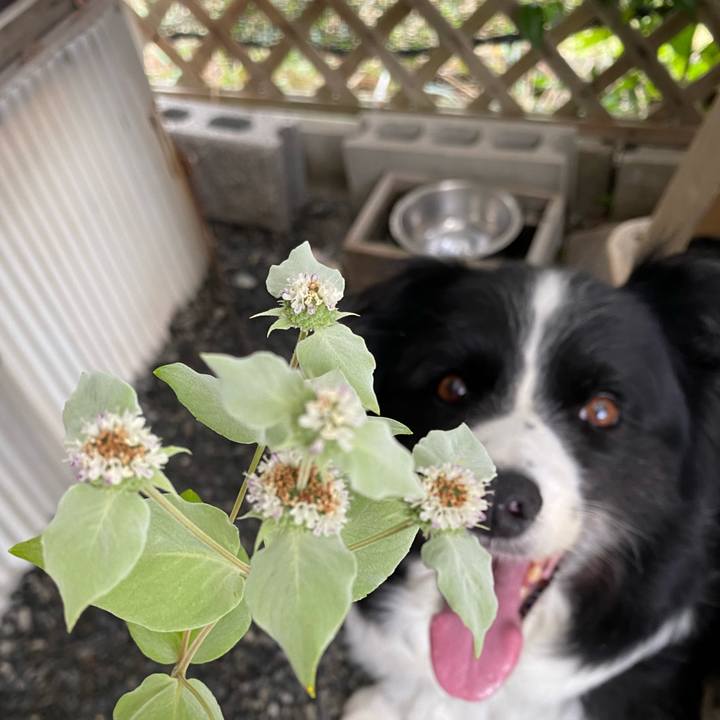 19bb676f af9a 46f1 b109 6759425aa525 1625182583705