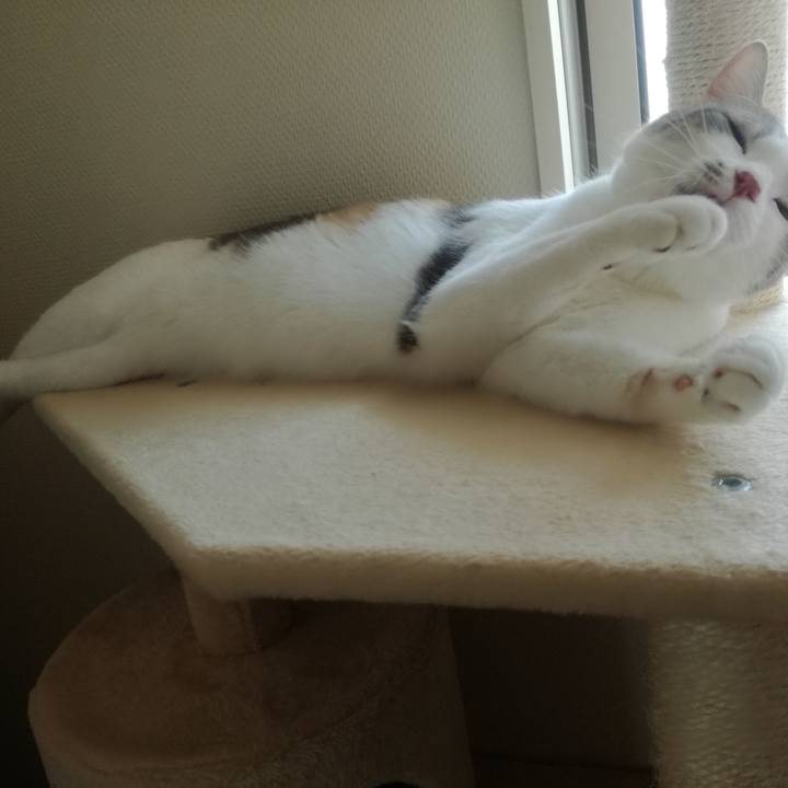 19bb6aaf eab4 454b b36c b9a05cee9a95 1526637274844