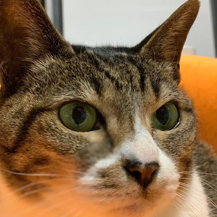 19bb840f bb6d 4d3b 8188 db1baf99d8cb 1557105404168