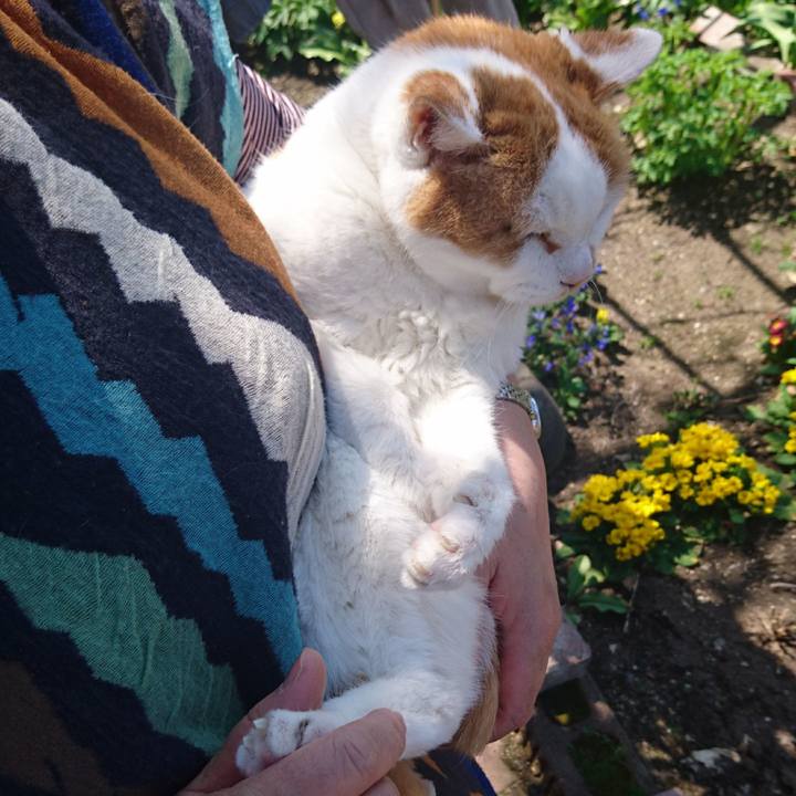 19bb85e8 1f57 45ca ad7e 0075a9661f8d 1557027404173