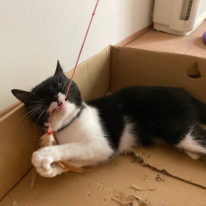 19bbd3e7 b592 499a b69e abca9da9eed2 1688595289328