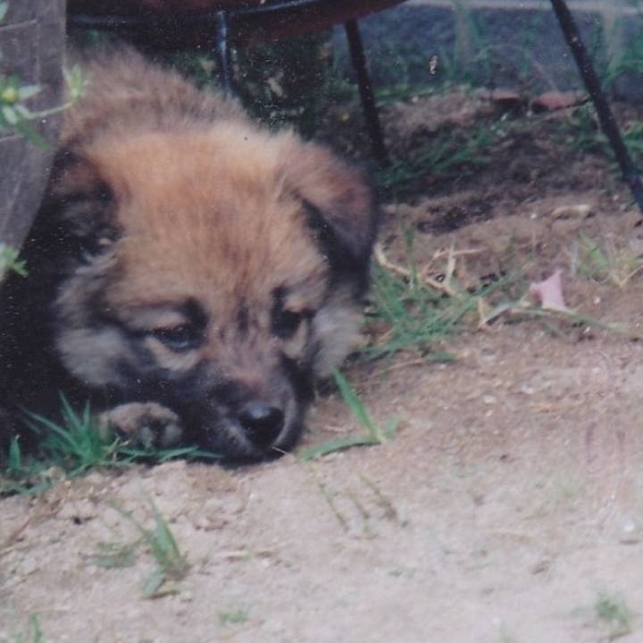 19bbdd2e a565 424e b873 1d8c1a254f63 1606013969331