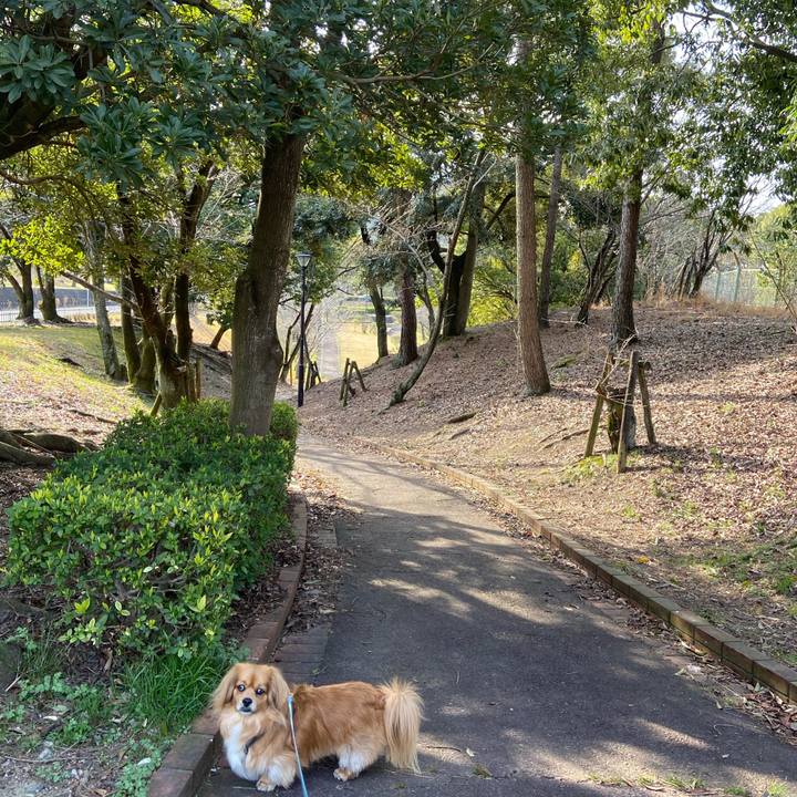 19bbe0af 9cea 44b5 99f8 b9dfd16e69d6 1584835942267