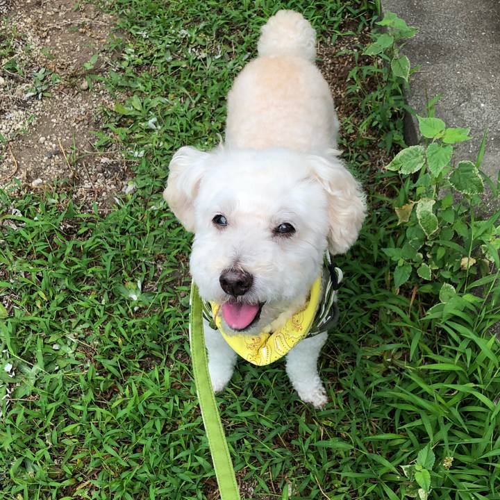 19bbfc2f 6a19 4c2f ace0 8cc131840de6 1532641551336