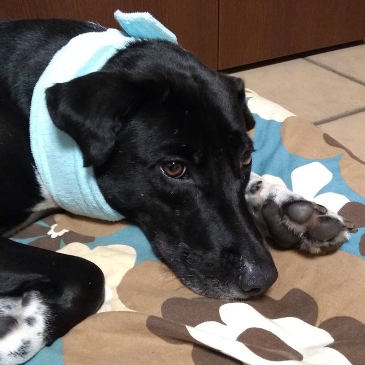 19bc1f23 a7ad 4860 91f0 352293a6b501 1595375566769