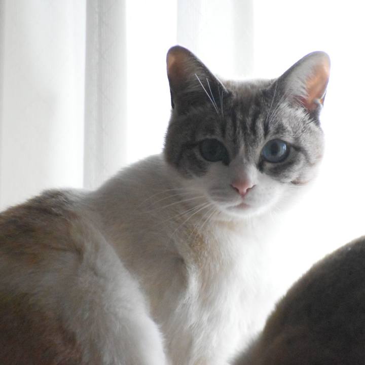 19bc2a01 f7a2 4e49 a3de c34e3cbadcae 1555231640606