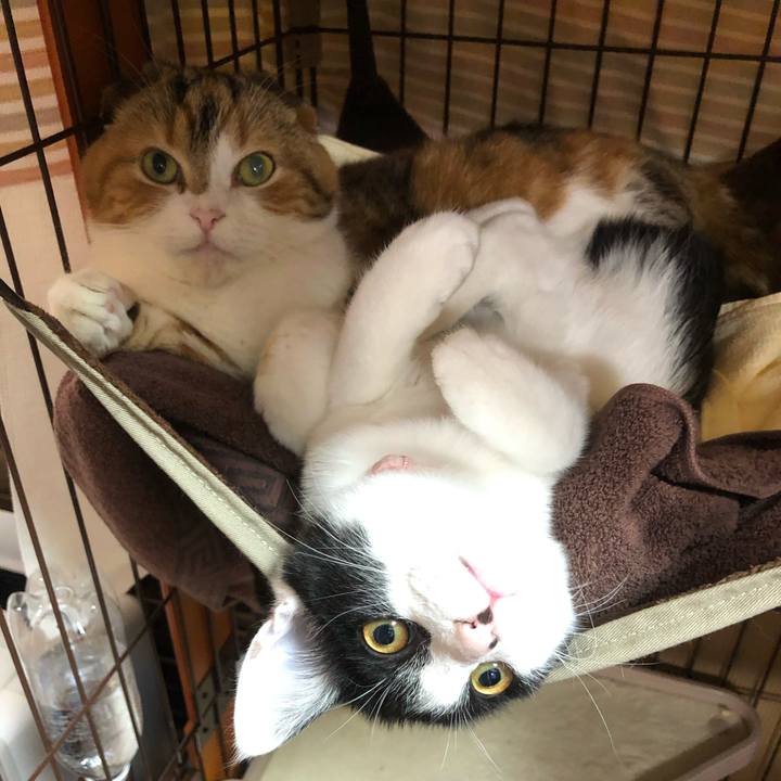 19bc7144 1ead 453e 804f c2fa9cbb77b3 1614943098922