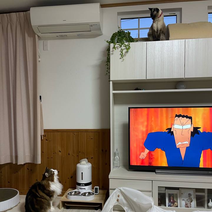 19bc91a7 57dd 4978 9133 37c05ae3c061 1736669368176