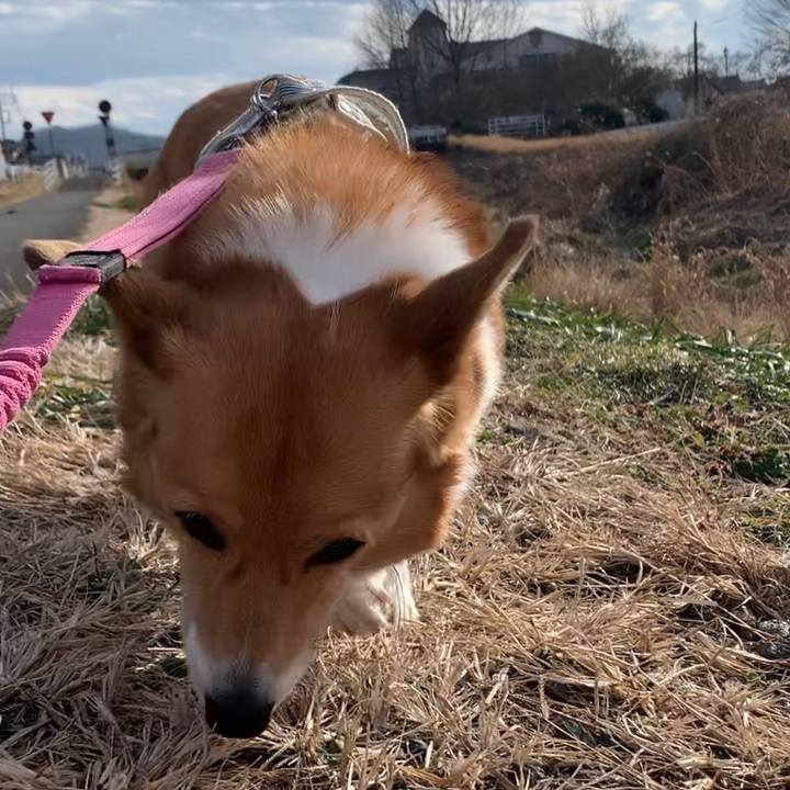 19bc99b0 b32b 45e2 a750 6adc730bbad6 1676791937508