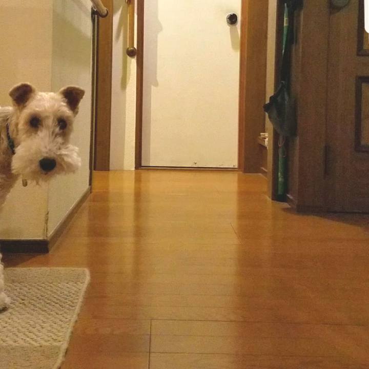 19bd23fc 6609 4abe afb2 2edc68b89f83 1525996795160