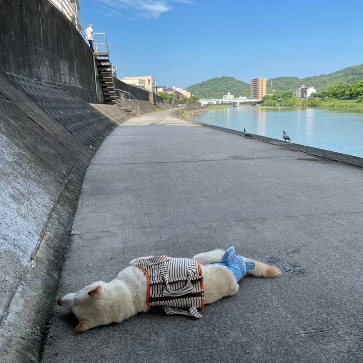 19bd36b0 c095 458a b395 9428f9daf936 1657094748842