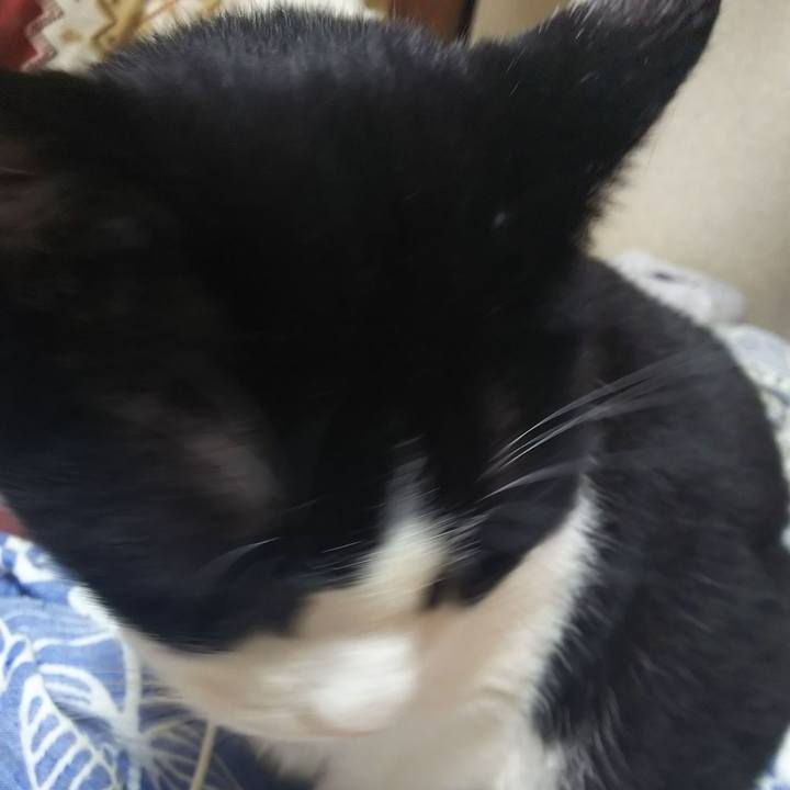 19bda335 6cbb 40f1 bdf1 d0d89f88cff1 1565820136030