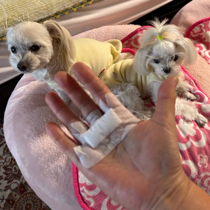 19bdaf52 f31a 47b4 9800 af8a654eaa8d 1765519768673