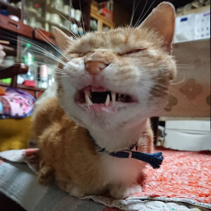 19bdd3bd 15d6 4db3 8dbc c50f55188252 1560568467085